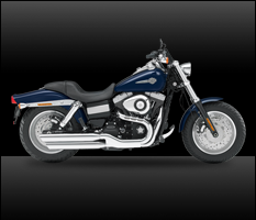 FXDF Fat Bob®