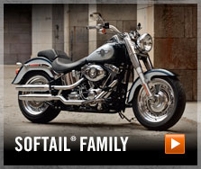 Softail®