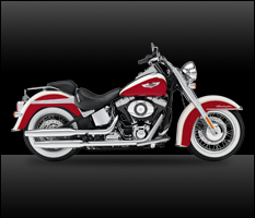 FLSTN Softail® Deluxe