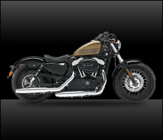 XL 1200X Forty-Eight®