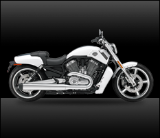 VRSCF V-Rod Muscle®