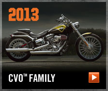 CVO™