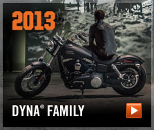 Dyna®