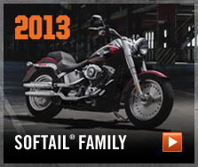 Softail®