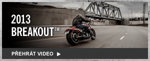 The Stunning All-New 2013 Breakout™