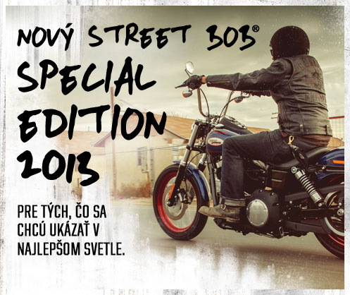 Street Bob 2013