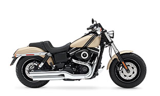 Image Of FXDF Fat Bob®
