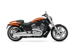 Image Of VRSCF V-Rod Muscle®
