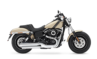 Image Of Fat Bob®