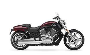 Image Of V-Rod Muscle®
