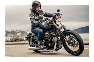 Sportster®