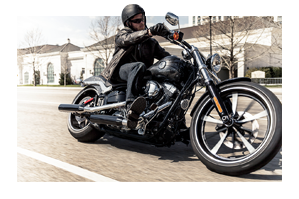 Softail®